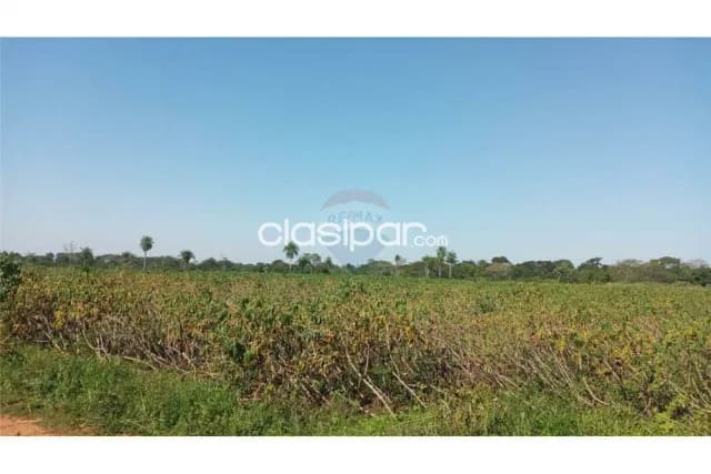 Caraguatay Bajo De Precio 9 Has Ideales P Desarrollos Inmobiliarios Casa De Campo, foto 4