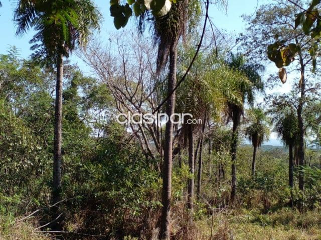 Nva. Colombia – sanber: 5.7 has. Ideales p/ loteamientos, casas de campo, foto 1