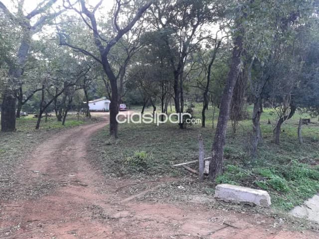 Nva. Colombia – sanber: 5.7 has. Ideales p/ loteamientos, casas de campo, foto 4