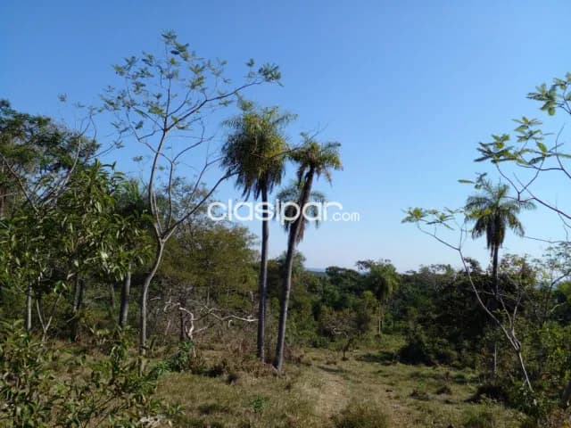 Nva. Colombia – sanber: 5.7 has. Ideales p/ loteamientos, casas de campo, foto 5