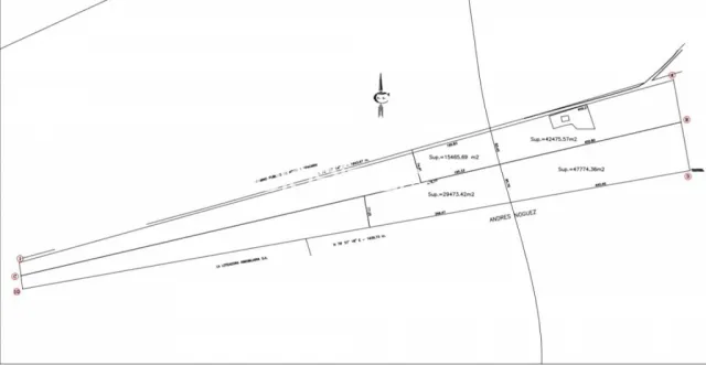 Ypacaraí – atyrá: 15 has, 100% aprovechable, p/ loteamientos, desarrollo inmobiliario, etc — foto 2
