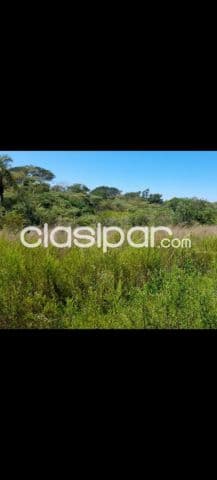 Nva colombia - cordillera: 18 has inmejorables agro-ganaderas, cerros humedades, engorde, foto 1