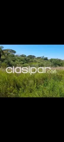 Nva colombia - cordillera: 18 has inmejorables agro-ganaderas, cerros humedades, engorde, foto 2
