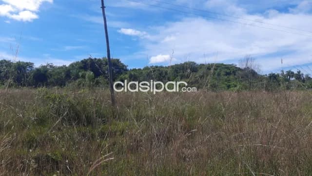 Nva colombia – cordillera: Magnificas 46 has, p/ loteamientos, ganadería, etc, foto 2
