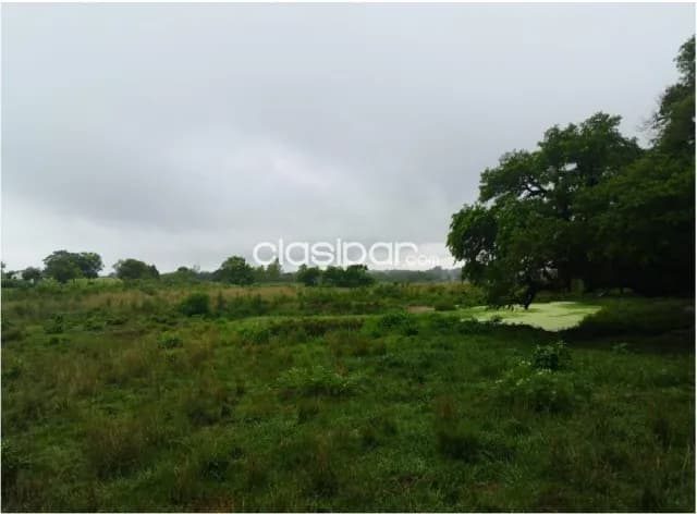 Villeta (prox. Nva italia, carapeguá): 600 has, p/ loteamientos, granjas, quintas, foto 3