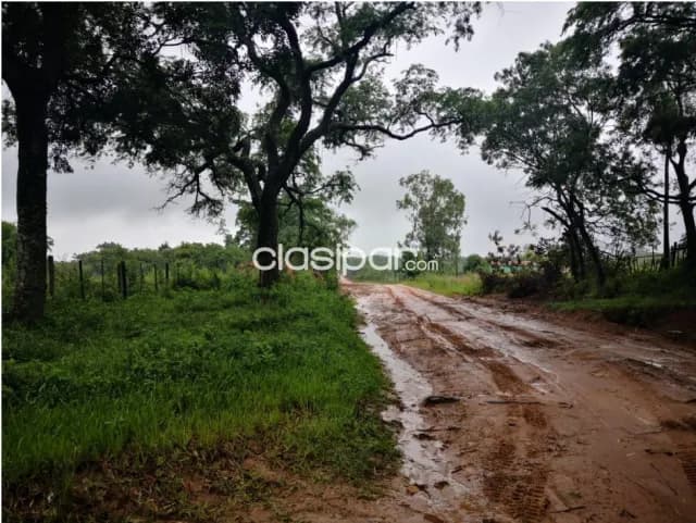 Villeta (prox. Nva italia, carapeguá): 600 has, p/ loteamientos, granjas, quintas, foto 5