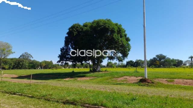Hermosos terrenos entre villeta y guarambaré, foto 1