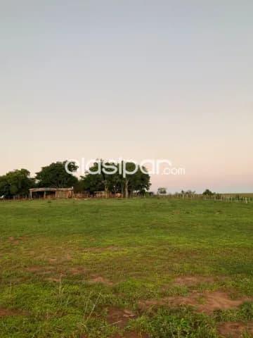 17 hectareas en el km 28 minga guazu — foto 3
