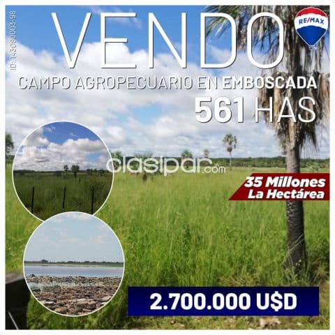 Campo agropecuario de 561 Has ubicado en la Compañía Kokue Guazú de la ciudad de Emboscada — foto 1