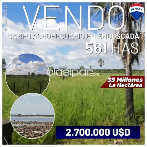 Campo agropecuario de 561 Has ubicado en la Compañía Kokue Guazú de la ciudad de Emboscada — foto 2