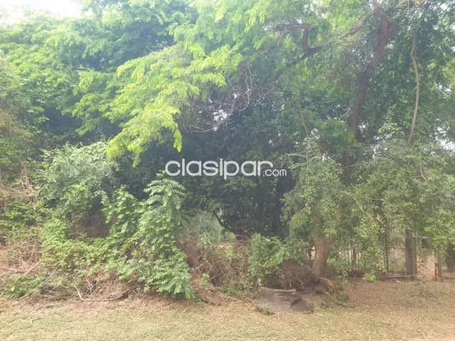 Terreno de 1315 m2 en Surubi i-LLA4871147, foto 2