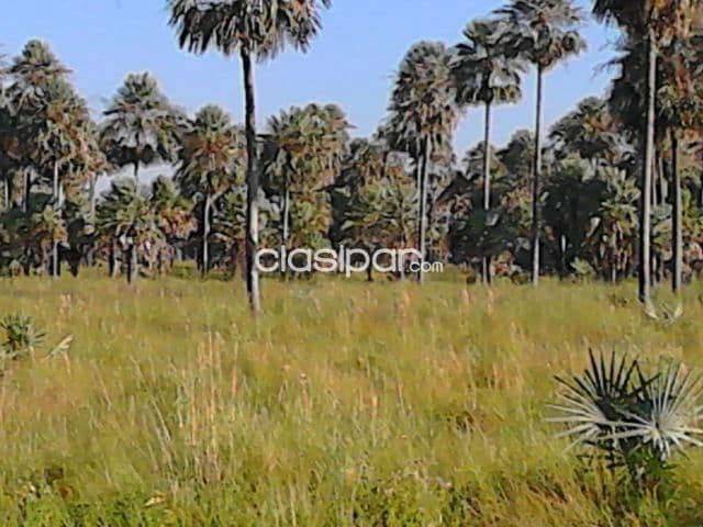 Estancia de 621 Has en Presidente Hayes-CLLA4873359