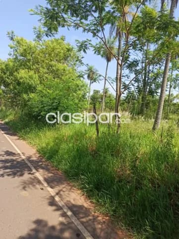 4,7 hectareas en itaugua sobre ruta asfaltada, foto 4