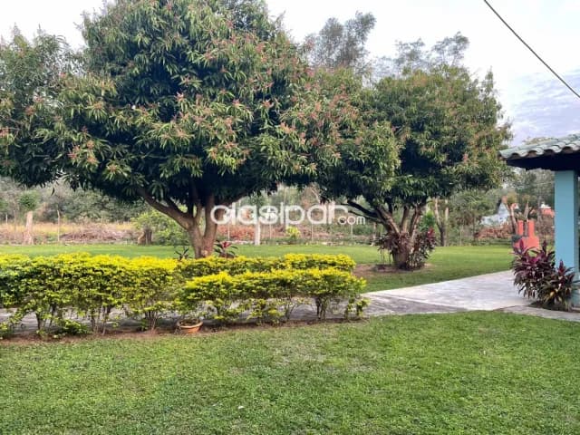 Hermosa Casa en San Bernardino detrás del Country Club — foto 3