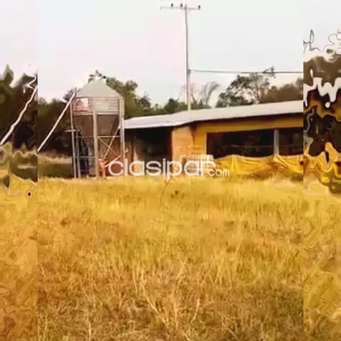 10 hectáreas. Disponible para emprendimiento avícola directo Para trabajar vendo con todo — foto 2