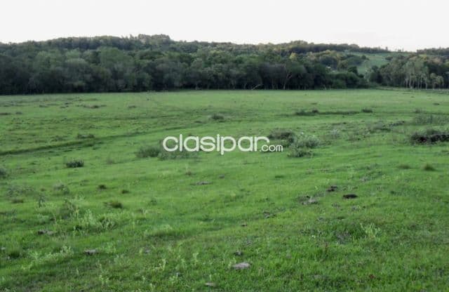Terreno Agrícola/Ganadero en Encarnación - 27 Ha