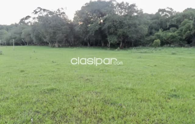 Terreno Agrícola/Ganadero en Encarnación - 27 Ha, foto 4