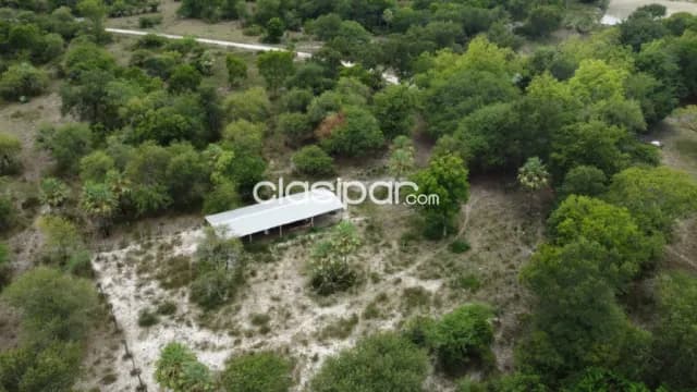 17 hectareas en villa oliva cod 1635 — foto 2