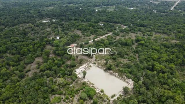 17 hectareas en villa oliva cod 1635 — foto 3