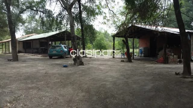 17 hectareas en villa oliva cod 1635 — foto 4