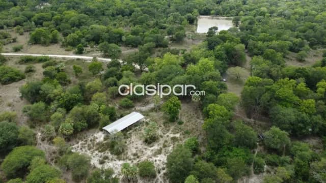 17 hectareas en villa oliva cod 1635 — foto 5