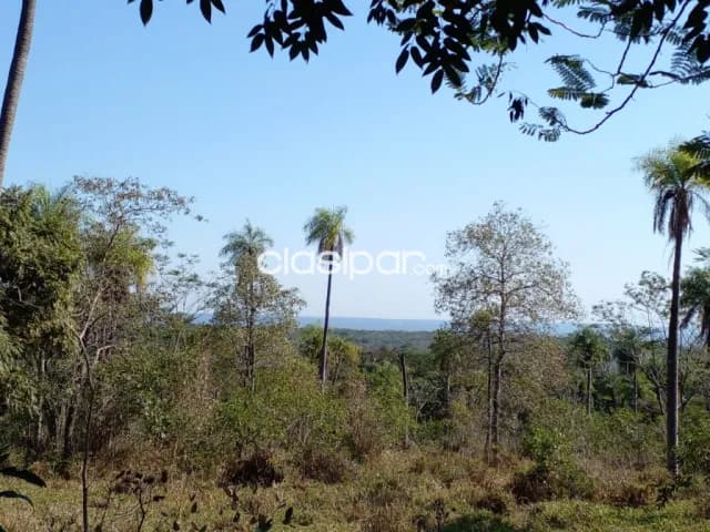 Granja Ganadera en Pirayu - 26 Ha — foto 3