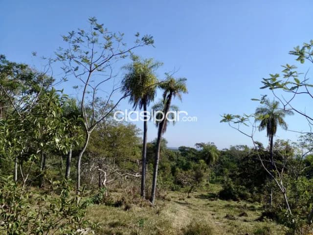Granja Ganadera en Pirayu - 26 Ha — foto 4