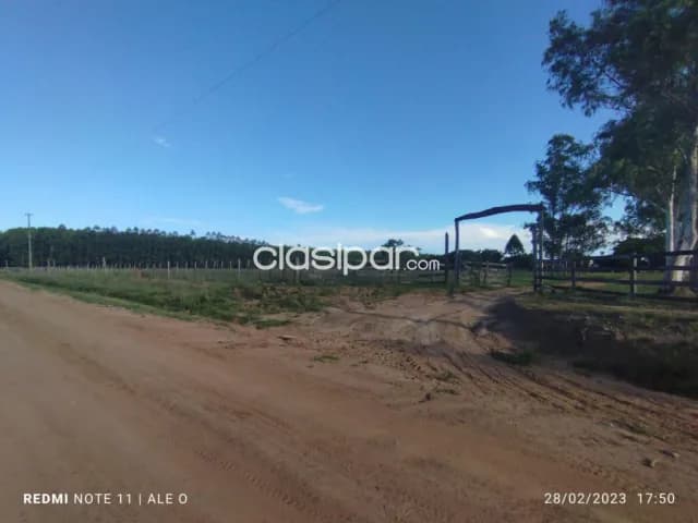 Hermosa propiedad 175 hectareas en villa rica, foto 2
