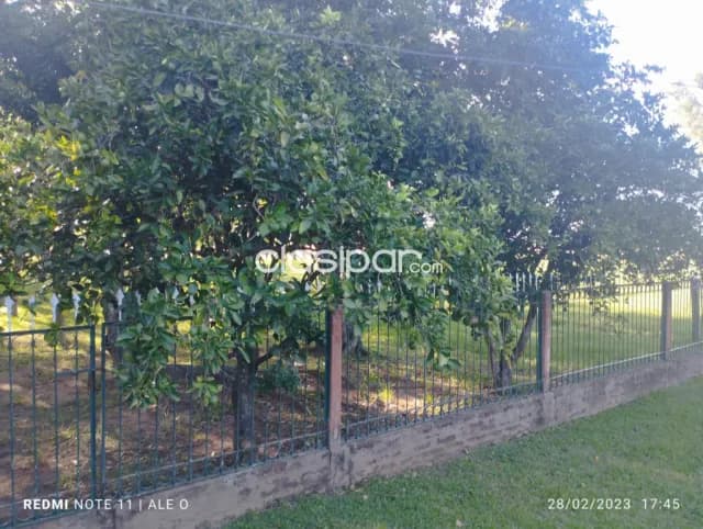 Hermosa propiedad 175 hectareas en villa rica, foto 3