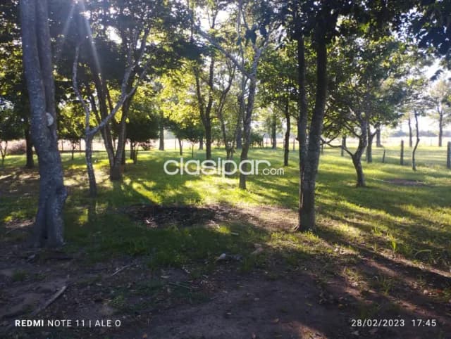 Hermosa propiedad 175 hectareas en villa rica, foto 4