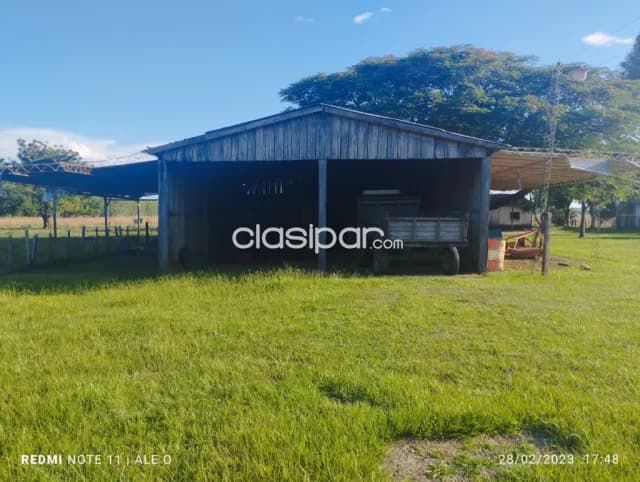 Hermosa propiedad 175 hectareas en villa rica, foto 5