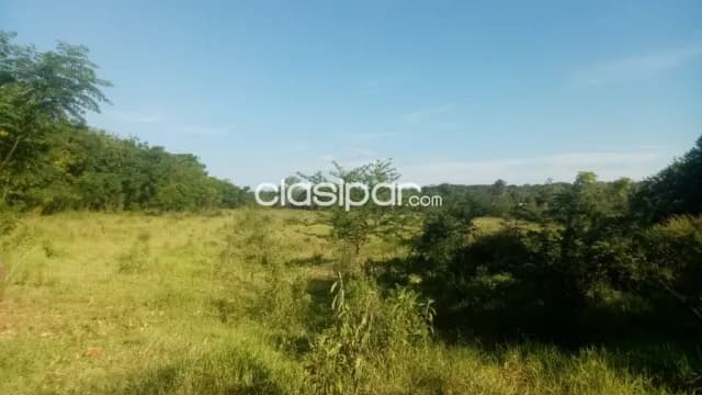 Ypané: 7 has, p/ uso loteamientos, industrias, etc. 350.000.000 gs/ha — foto 4