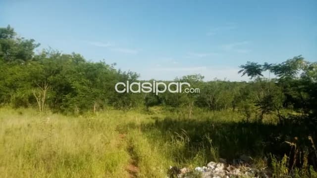 Ypané: 7 has, p/ uso loteamientos, industrias, etc. 350.000.000 gs/ha — foto 5