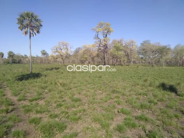 600 hectareas en presidente hayes — foto 2