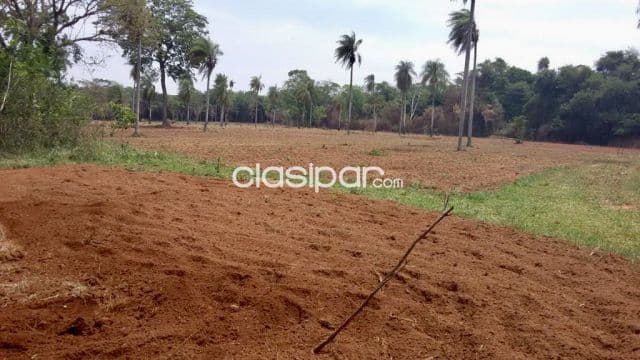Campo Agricola/Ganadero en Tobati sobre Ruta - 100 Ha