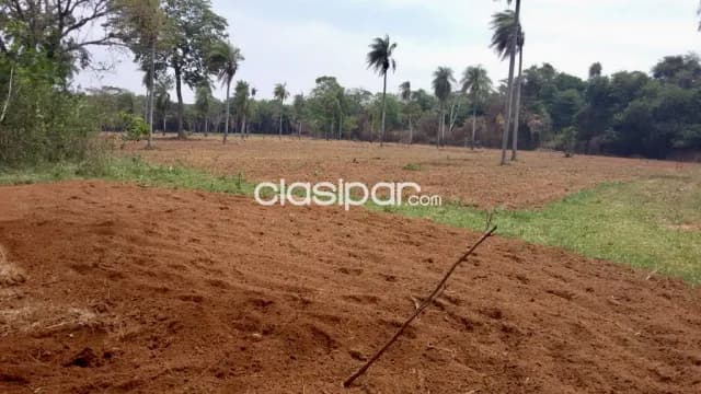 Campo Agricola/Ganadero en Tobati sobre Ruta - 100 Ha, foto 2