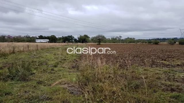 Campo Agricola/Ganadero en Tobati sobre Ruta - 100 Ha, foto 5