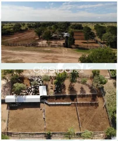 Agua dulce – alto paraguay: 20.000 has. Estancia super equipada, 33.000.000 usd — foto 5