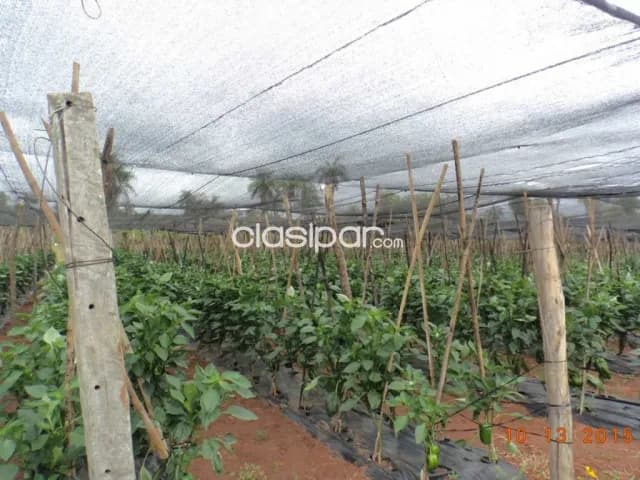 Acahay s/ ruta asfaltada: 166 has, totalmente equipada y en funcionamiento, 650.000 usd, foto 5