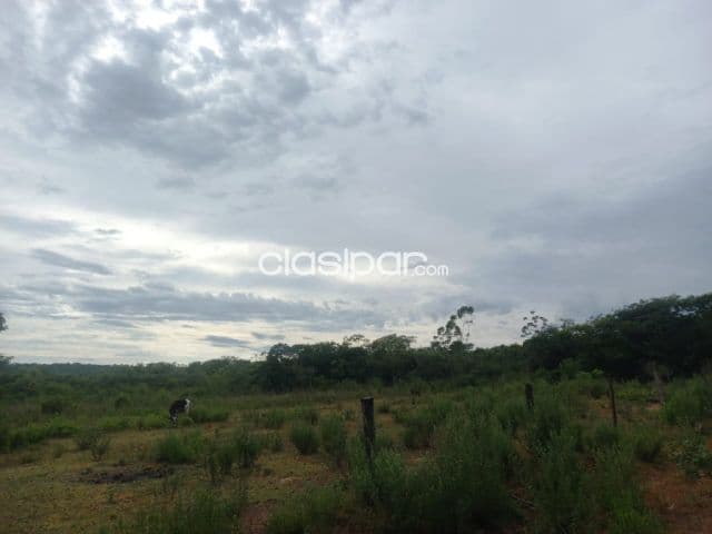 Altos: 85 has, ubicación ideal p/ agro-ganadería, 85.000.000 gs/ha