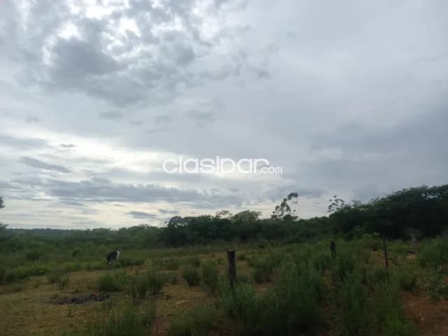 Altos: 85 has, ubicación ideal p/ agro-ganadería, 85.000.000 gs/ha, foto 2