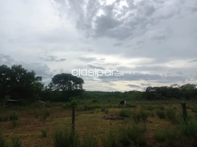 Altos: 85 has, ubicación ideal p/ agro-ganadería, 85.000.000 gs/ha, foto 3