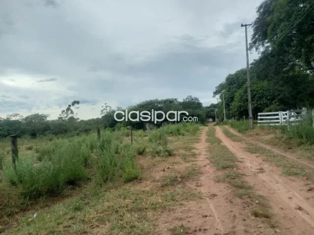 Altos: 85 has, ubicación ideal p/ agro-ganadería, 85.000.000 gs/ha, foto 4