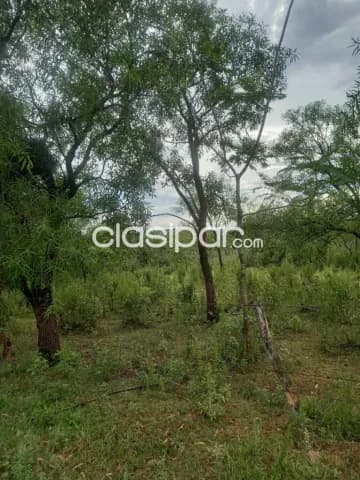 Altos: 85 has, ubicación ideal p/ agro-ganadería, 85.000.000 gs/ha, foto 5