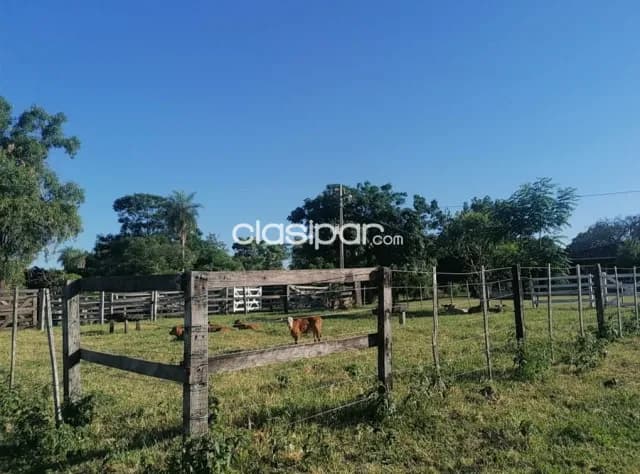 Altos – cordillera: 74 has, con infraestructura, serranías, arroyos, etc. 790.000 usd — foto 3