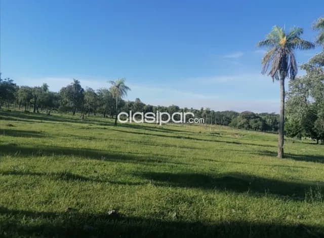 Altos – cordillera: 74 has, con infraestructura, serranías, arroyos, etc. 790.000 usd — foto 4