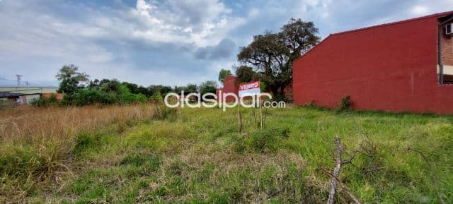 Terreno zona britez borges sobre asfalto