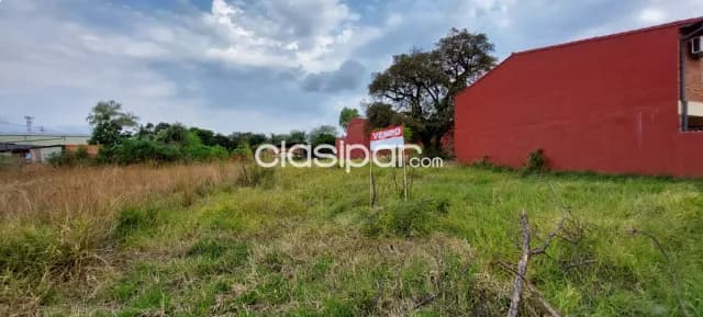 Terreno zona britez borges sobre asfalto, foto 2