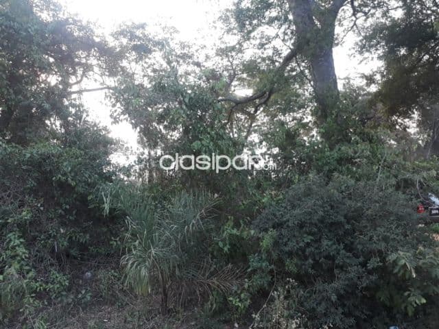 4,5 hectareas en Tobati oferta para granja, quinta, o fines de semana por este mes, foto 1