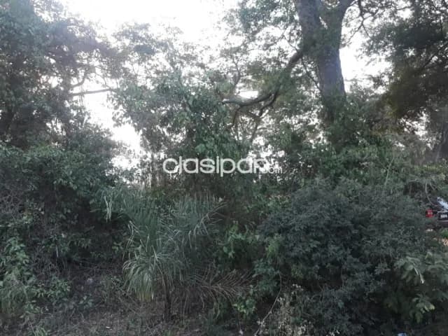 4,5 hectareas en Tobati oferta para granja, quinta, o fines de semana por este mes, foto 2